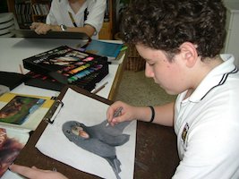 Young student drawing using color pencils