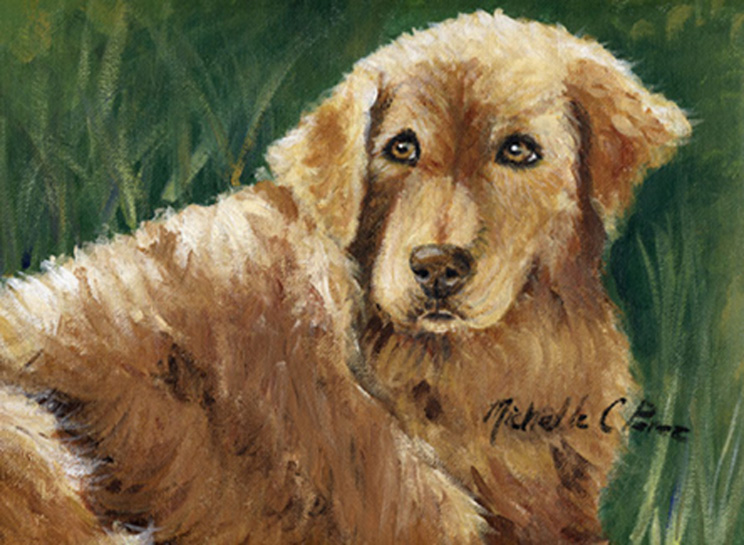 Golden retriever by Michelle