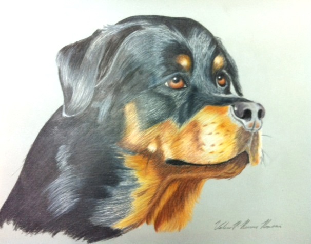 Pet Portrait by Valerie